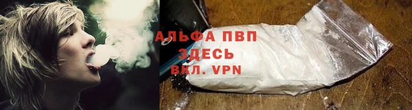 дживик Баксан