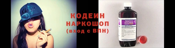 ГАЛЛЮЦИНОГЕННЫЕ ГРИБЫ Балахна